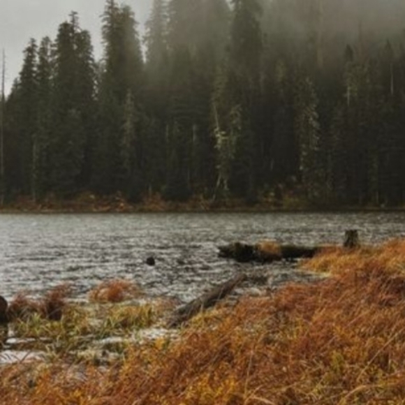 Thank you, Poshers! 🤙 - Picture 9 of 9